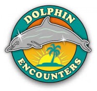 Dolphin encounters ltd