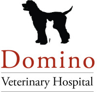 Domino veterinary hospital
