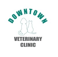Downtown veterinary clinic