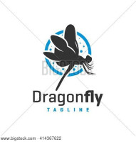 Dragonflyfoto