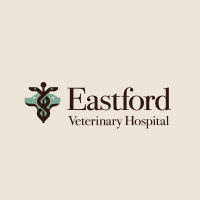 Eastford veterinary clinic