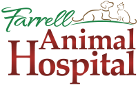 Farrell animal hospital