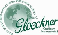 Gloeckner financial group