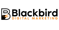Blackbird marketing and consulting