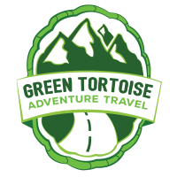 Green tortoise backpacker