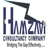 Hamzavi solutions