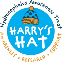 Harry the hat's