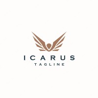 Icarus imaging