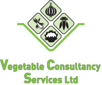 Vegetable Consultancy Services Ltd