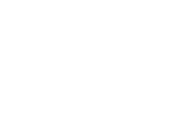 Lotus global wealth management