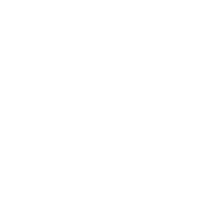 Maclaurin group