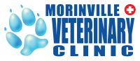 Morinville veterinary clinic