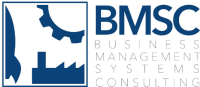 Management systems consulting, inc.