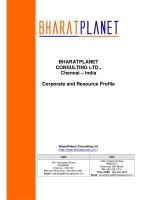 BharatPlanet consulting Ltd