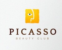 Picarsso limited