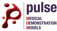 Pulse medical demonstration models
