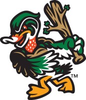 Wood Duck Nation