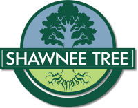 Shawnee tree