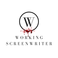 Writer / punch up screenplays