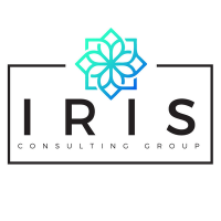 Stone iris consulting