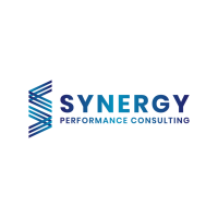 Synergy performance consulting