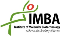 Intituto de Biologia Molecular y Biotecnologia de Bolivia