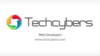 Techcybers web design company