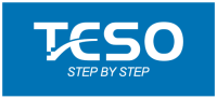 Teso_corporation llc