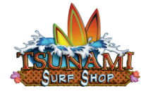 Tsunami surfer