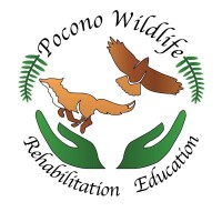 Pocono Wildlife Rehabilitation Center