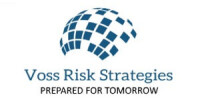 Voss risk strategies