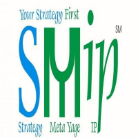 Metayage ip strategy consulting llp