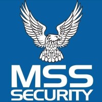Mss securities pvt ltd