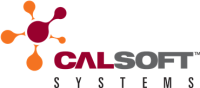 Calsoft Systems, Los Angeles