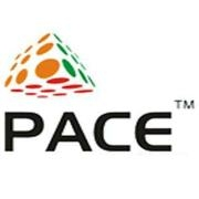 Pace Global HR Consulting Services