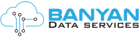 Banyan data services