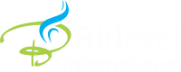 Bitlevel international