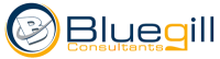 Bluegill consultants
