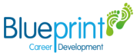 Blueprint learning and organisation development