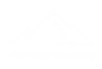 Blueridge consulting services
