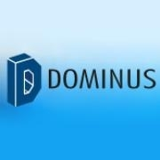 Dominus engenharia