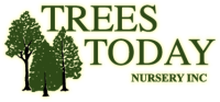 Trees Today Nursery Inc