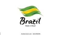 Brazilian experience