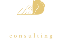 Pegasus Financial Consultancy