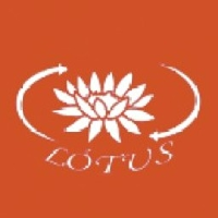 Lotus implantação de projetos