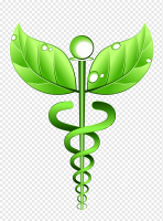Naturopatia - medicina alternativa