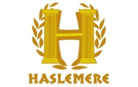 Haslemere primary school