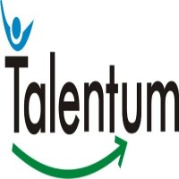 Talentum partnership