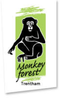 Trentham monkey forest