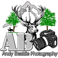 Andy beattie photography